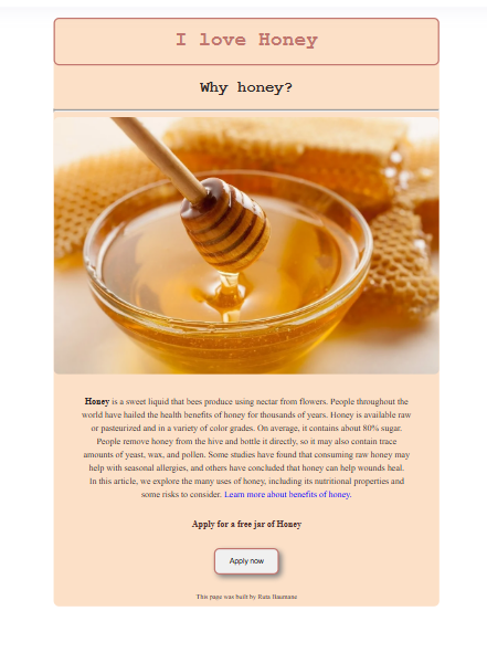 Honey project picture